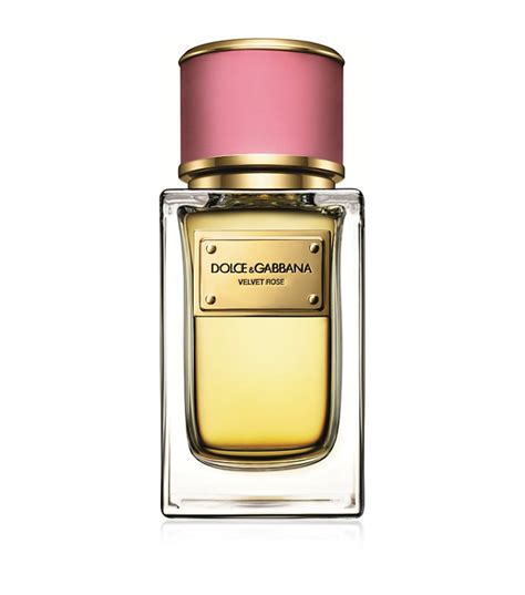 parfum dolce gabbana rose|More.